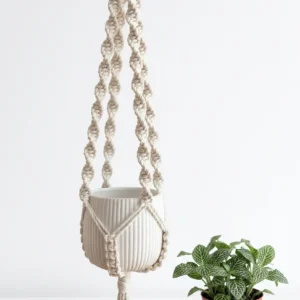 Plant hangers - Set 1
