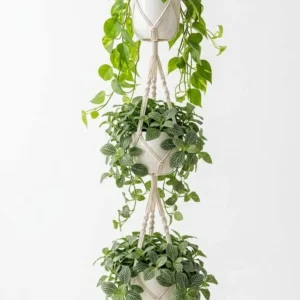 Plant hangers - Set 3