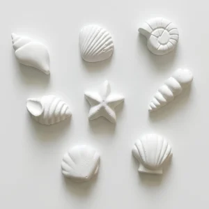 Sea Shells theme Concrete Art Kit